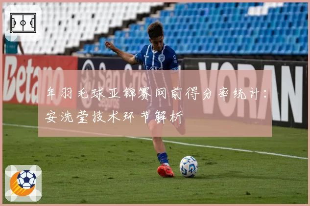 年羽毛球亚锦赛网前得分率统计：安洗莹技术环节解析