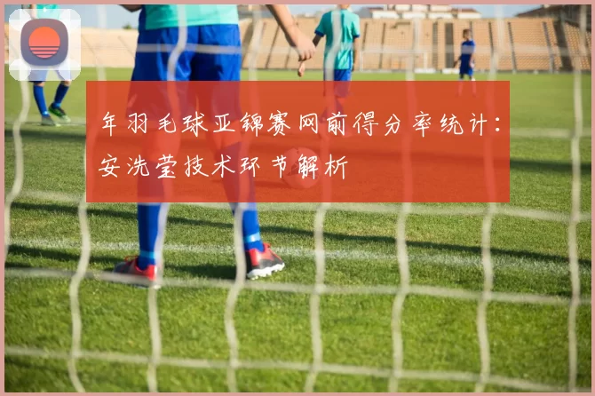 年羽毛球亚锦赛网前得分率统计：安洗莹技术环节解析