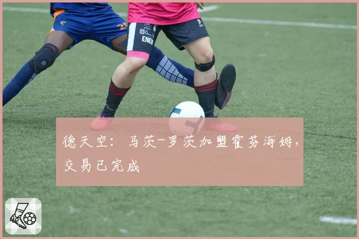 德天空:马茨-罗茨加盟霍芬海姆,交易已完成