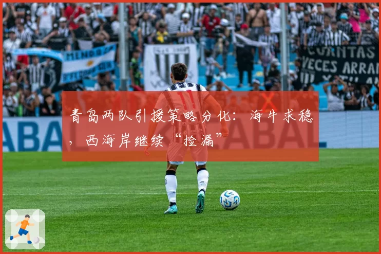 青岛两队引援策略分化：海牛求稳，西海岸继续“捡漏”
